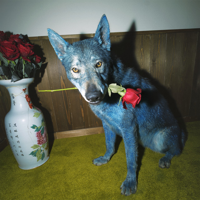 L’ISOLA DELLE ROSE – Blanco