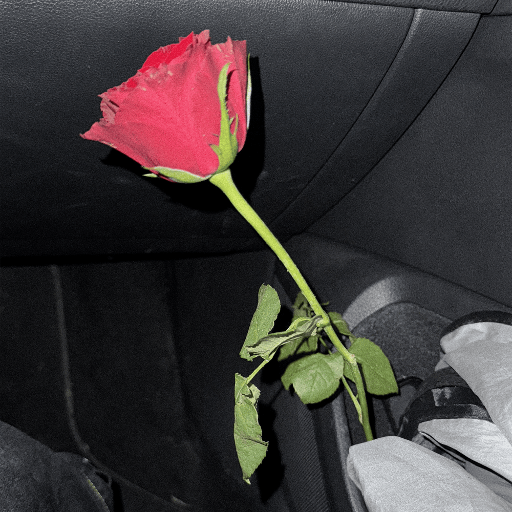 M’AMA NON M’AMA – Madame